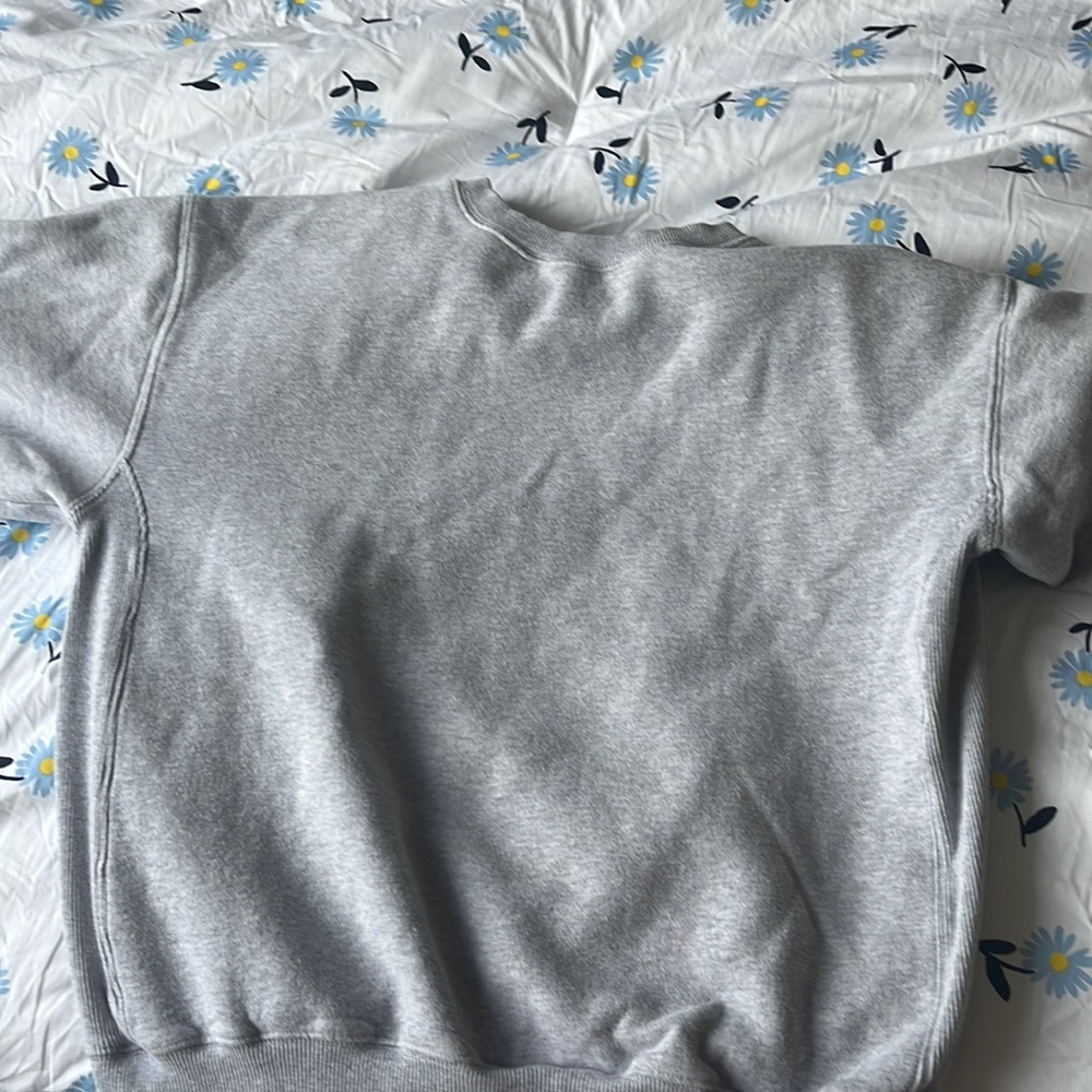 Aritzia TNA gray sweatshirt